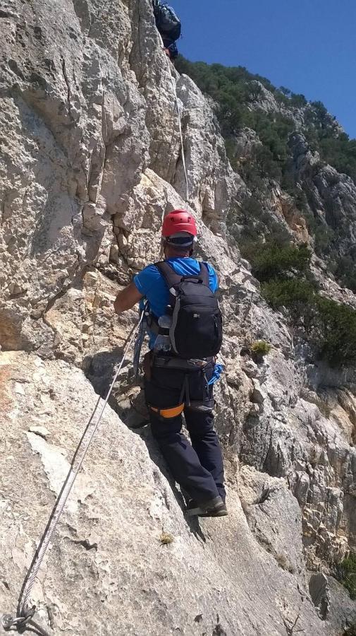 Funtan'arva Alloggio per agriturismo Loculi