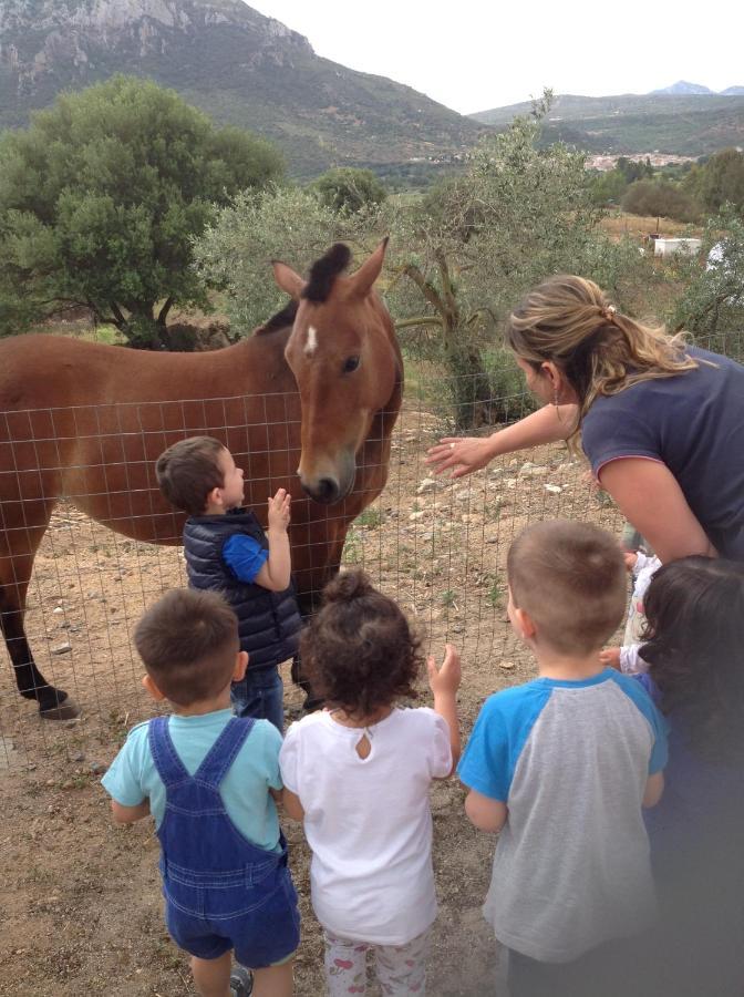 Séjour à la ferme Funtan'arva Loculi